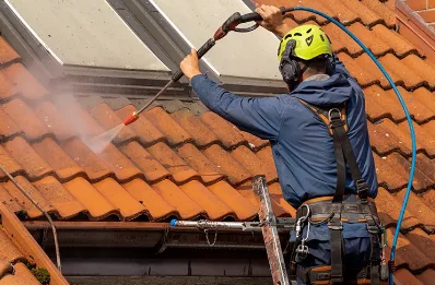 Démoussage et hydrofuge de toiture à Tréméreuc